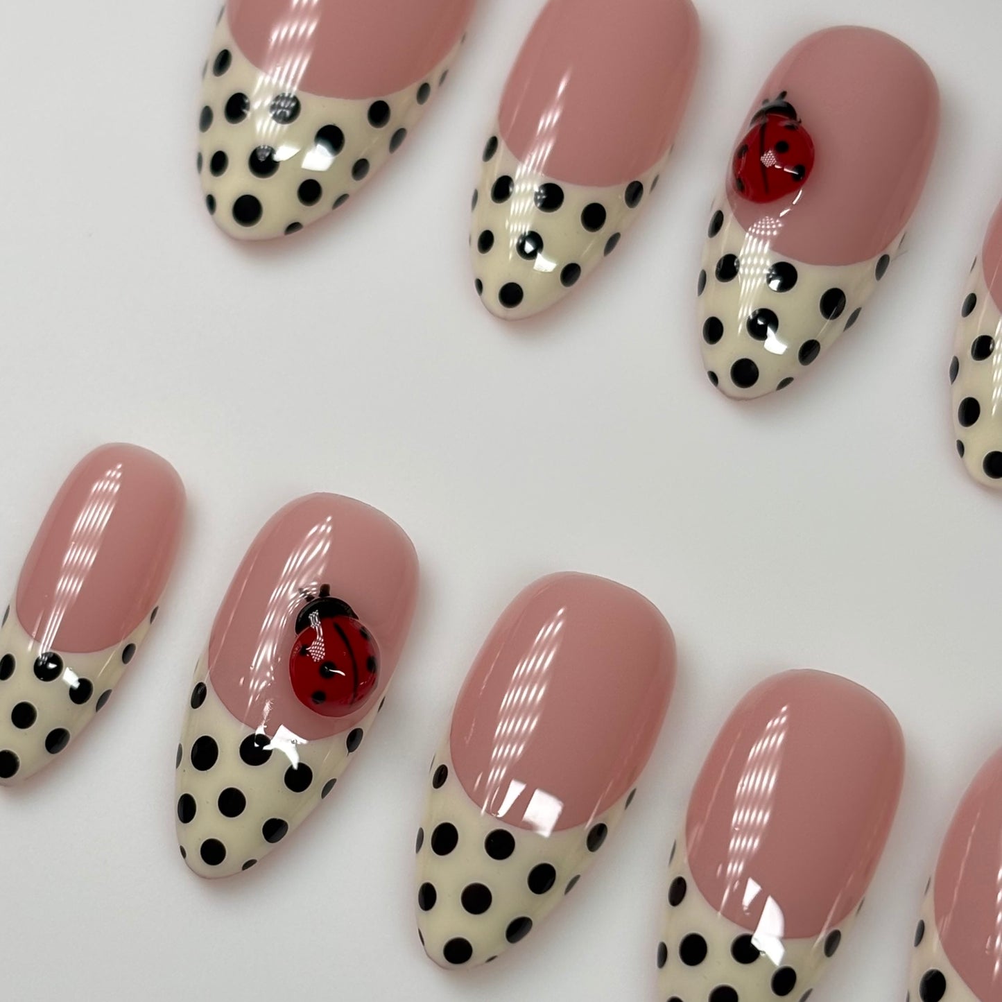 Ladybug